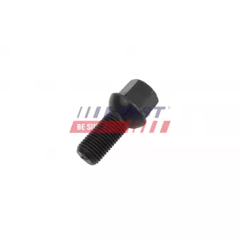 Vis de roue FAST FT10669
