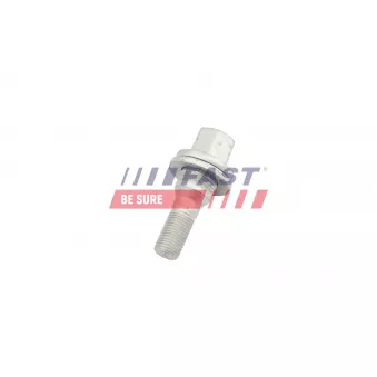 Vis de roue FAST FT10670