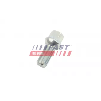 Vis de roue FAST FT10671