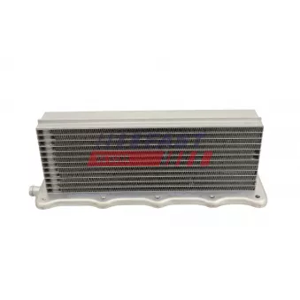 Intercooler, échangeur FAST FT10738