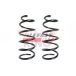 Ressort de suspension FAST FT12227K - Visuel 1