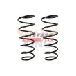 Ressort de suspension FAST FT12229K - Visuel 1
