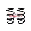 Ressort de suspension FAST FT12230K - Visuel 1