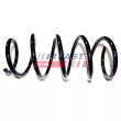 Ressort de suspension FAST FT12248 - Visuel 1