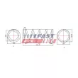 Ressort de suspension FAST FT12248 - Visuel 2