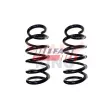 Ressort de suspension FAST FT12249K - Visuel 1