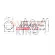 Ressort de suspension FAST FT12249K - Visuel 2