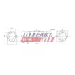 Ressort de suspension FAST FT12283 - Visuel 2