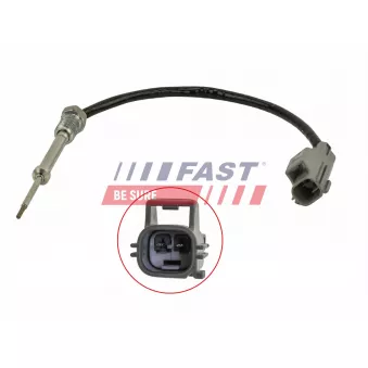 Capteur, température des gaz FAST FT80223
