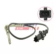 Capteur, température des gaz FAST FT80234 - Visuel 1