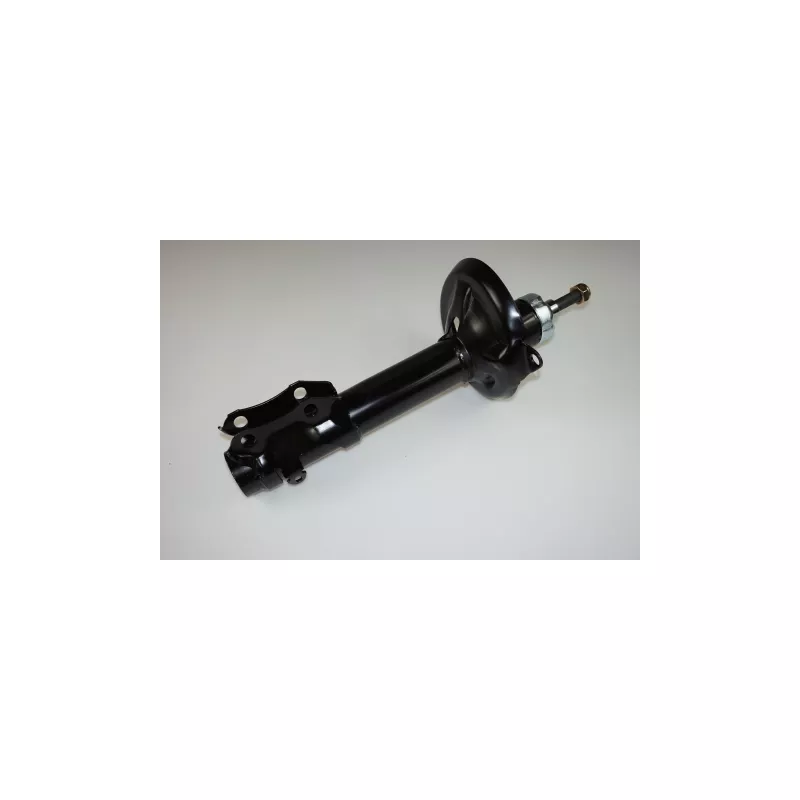 Jeu de 2 amortisseurs avant PROFLEX PX6-FC520