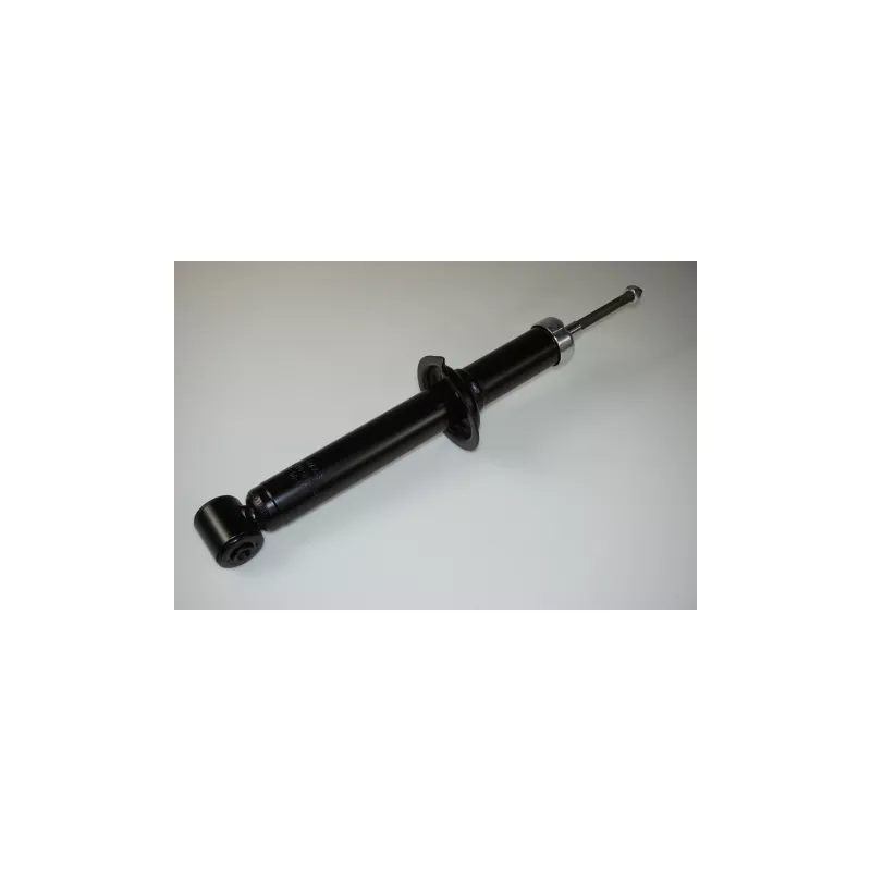 Jeu de 2 amortisseurs arrière PROFLEX PX6-BA012