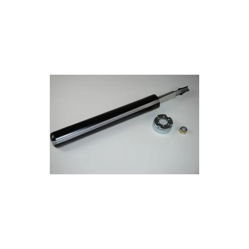 Jeu de 2 amortisseurs avant PROFLEX PX5-FI665