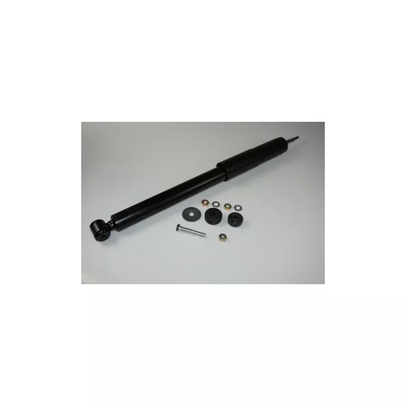 Jeu de 2 amortisseurs avant PROFLEX PX5-FA695
