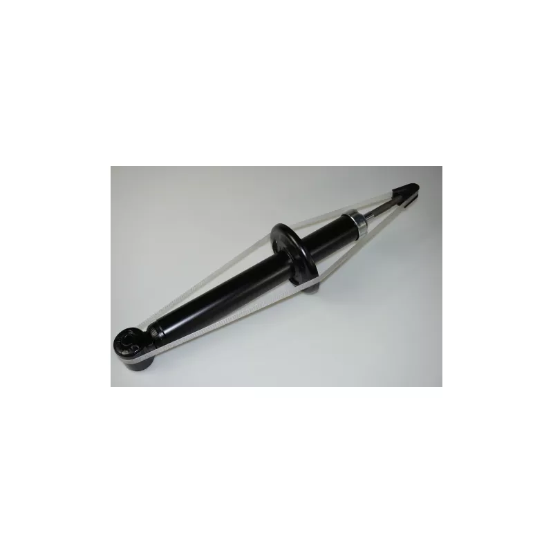 Jeu de 2 amortisseurs arrière PROFLEX PX5-BA960
