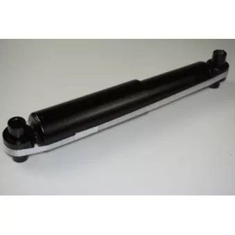 Jeu de 2 amortisseurs arrière PROFLEX PX5-BA655