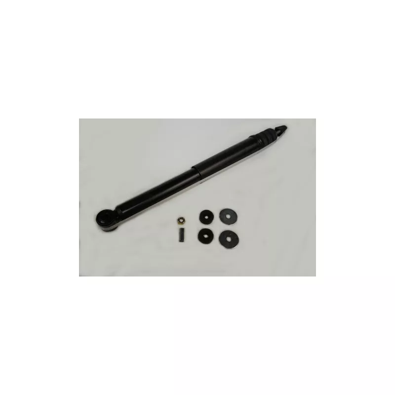 Jeu de 2 amortisseurs arrière PROFLEX PX5-BA082
