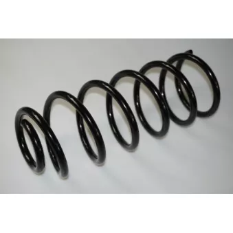 Ressort de suspension PROFLEX PX1-0205