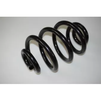 Ressort de suspension PROFLEX PX1-0199