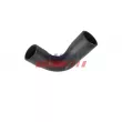 Gaine de suralimentation FAST FT01196 - Visuel 1