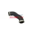 Gaine de suralimentation FAST FT01202 - Visuel 2