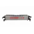 Intercooler, échangeur FAST FT10916 - Visuel 1