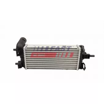 Intercooler, échangeur FAST FT10919