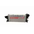 Intercooler, échangeur FAST FT10919 - Visuel 2