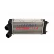 Intercooler, échangeur FAST FT10920 - Visuel 1
