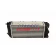 Intercooler, échangeur FAST FT10920 - Visuel 2