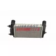 Intercooler, échangeur FAST FT10921 - Visuel 1