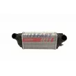 Intercooler, échangeur FAST FT10921 - Visuel 2