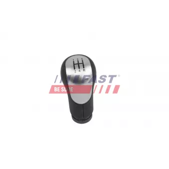 Pommeau FAST FT73234