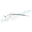 Flexible de frein arrière gauche RAP BRAKES R-H1469 - Visuel 1