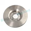 Jeu de 2 disques de frein avant RAP BRAKES R-D0980 - Visuel 2
