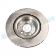 Jeu de 2 disques de frein arrière RAP BRAKES R-D0637 - Visuel 2