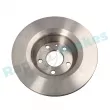 Jeu de 2 disques de frein arrière RAP BRAKES R-D0310 - Visuel 2