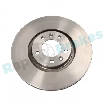 Jeu de 2 disques de frein arrière RAP BRAKES R-D0212