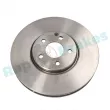 Jeu de 2 disques de frein avant RAP BRAKES R-D0192 - Visuel 1