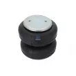 Ressort pneumatique, suspension pneumatique DT 10.36006 - Visuel 3