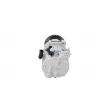 Compresseur, climatisation DT 13.00213 - Visuel 2
