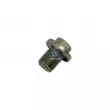 Vis-bouchon, carter d'huile DT 13.41031 - Visuel 1