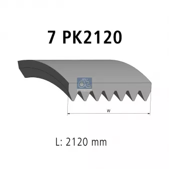 Courroie trapézoïdale à nervures DT 14.16002