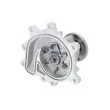 Pompe à eau, refroidissement du moteur DT 15.00035 - Visuel 2