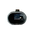 Feu clignotant DT 2.24562 - Visuel 2