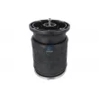 Soufflet de suspension, suspension pneumatique DT 5.00241 - Visuel 3