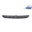 Grille de radiateur DT 7.00262 - Visuel 1