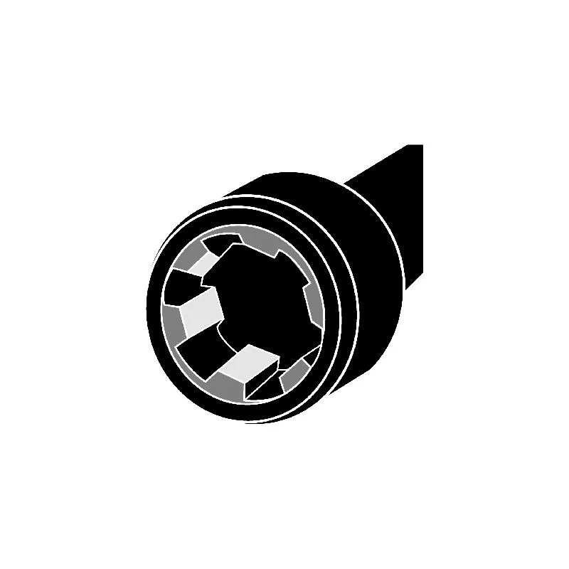 Jeu de boulons de culasse de cylindre CORTECO 49136759