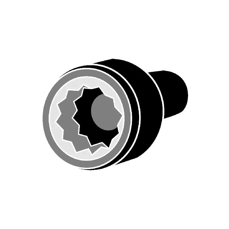 Jeu de boulons de culasse de cylindre CORTECO 49166901