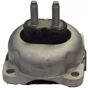 Suspension, boîte automatique CORTECO